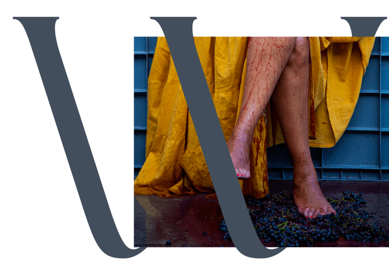 A CEO da Wine Crush descalça a pisar uvas, recriando a tradição ancestral da produção de vinho.