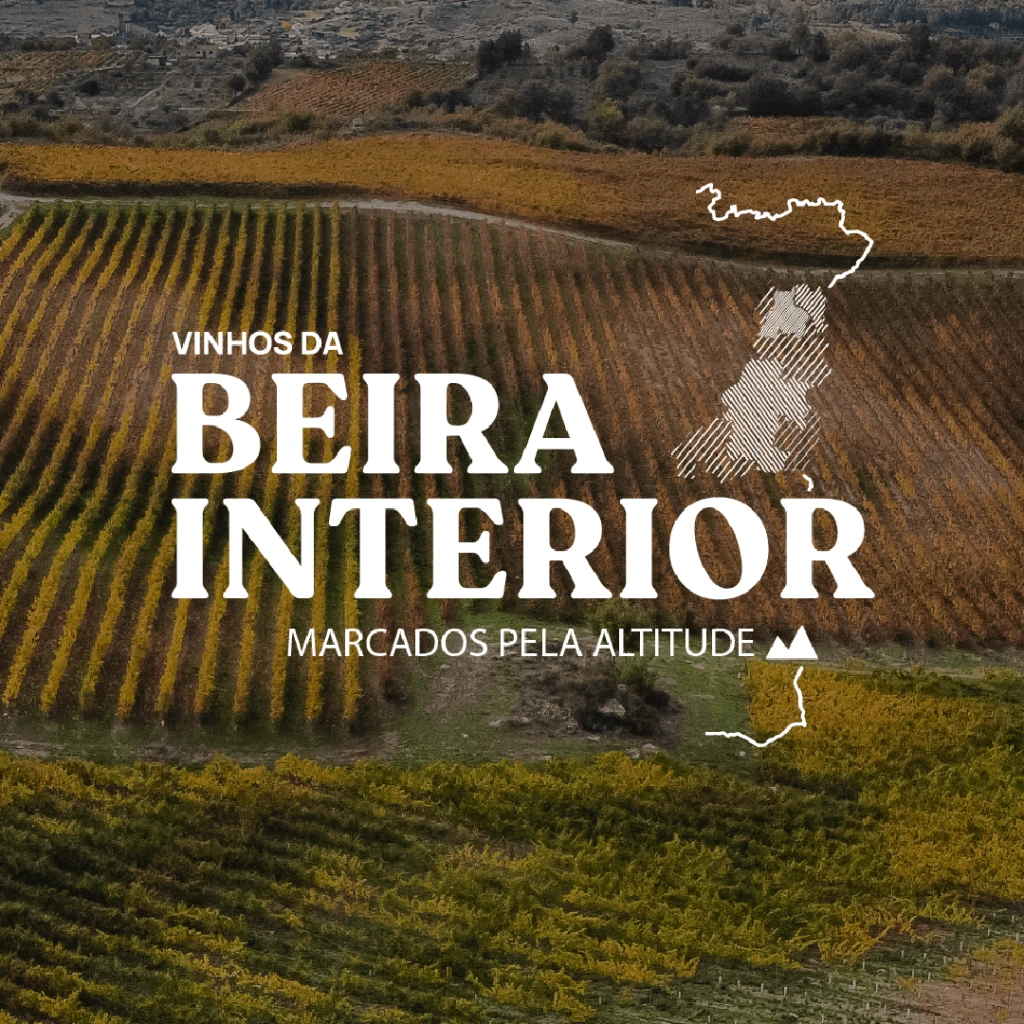 Vinha em tons de outono com mapa da região da Beira Interior sobreposto.